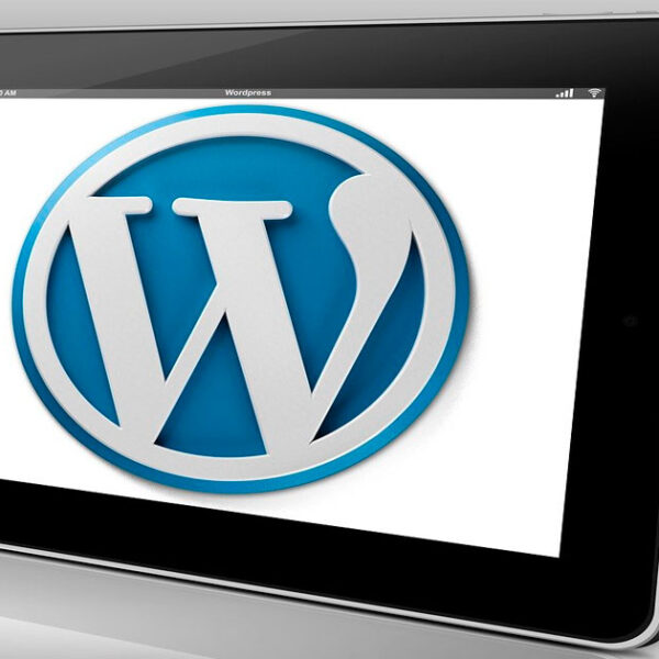 Tipos de plugin para Wordpress